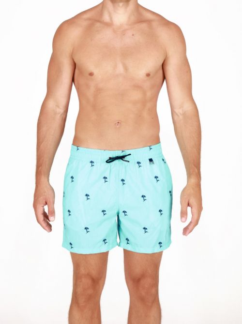 Atoll beach shorts